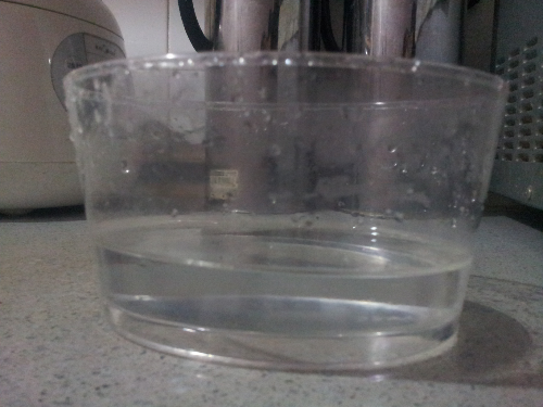 浅盘法孵化丰年虾~超简单!经验分享,适合小型