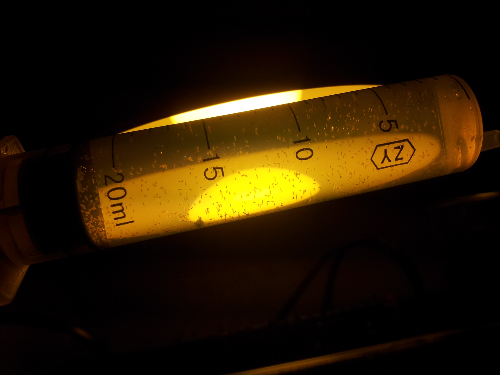 浅盘法孵化丰年虾~超简单!经验分享,适合小型