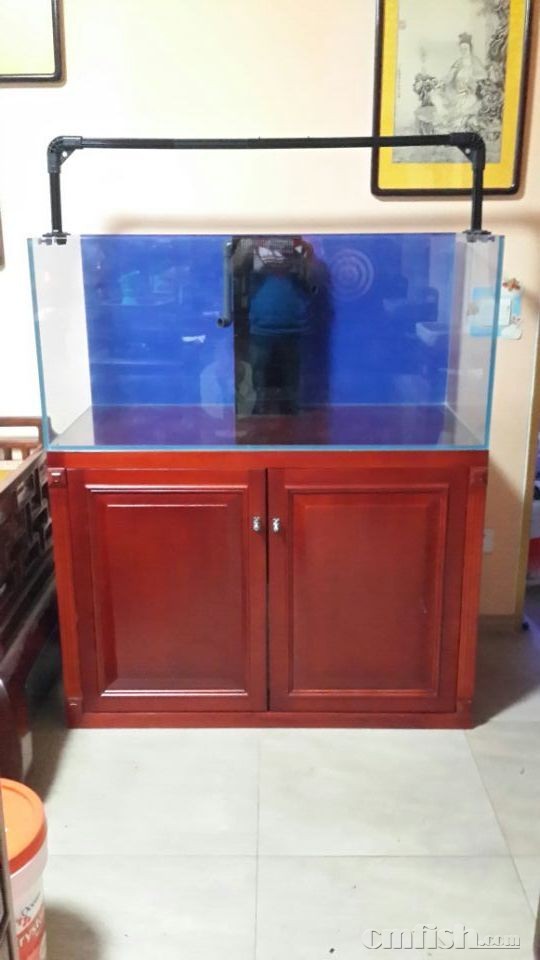 漫步水族鱼缸记录第五集1.2米缸 - 批发珊瑚海