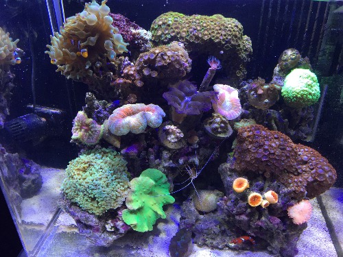 北三环化工大学南门出amf原装60缸灯、大荧光