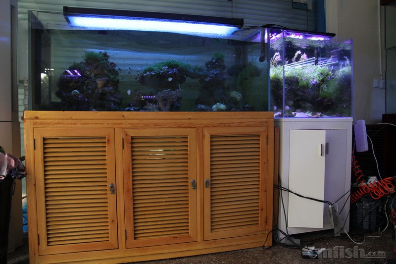 AE CLIN 蓝霆Sanrise 220W 1.5米1.2米缸 海藻