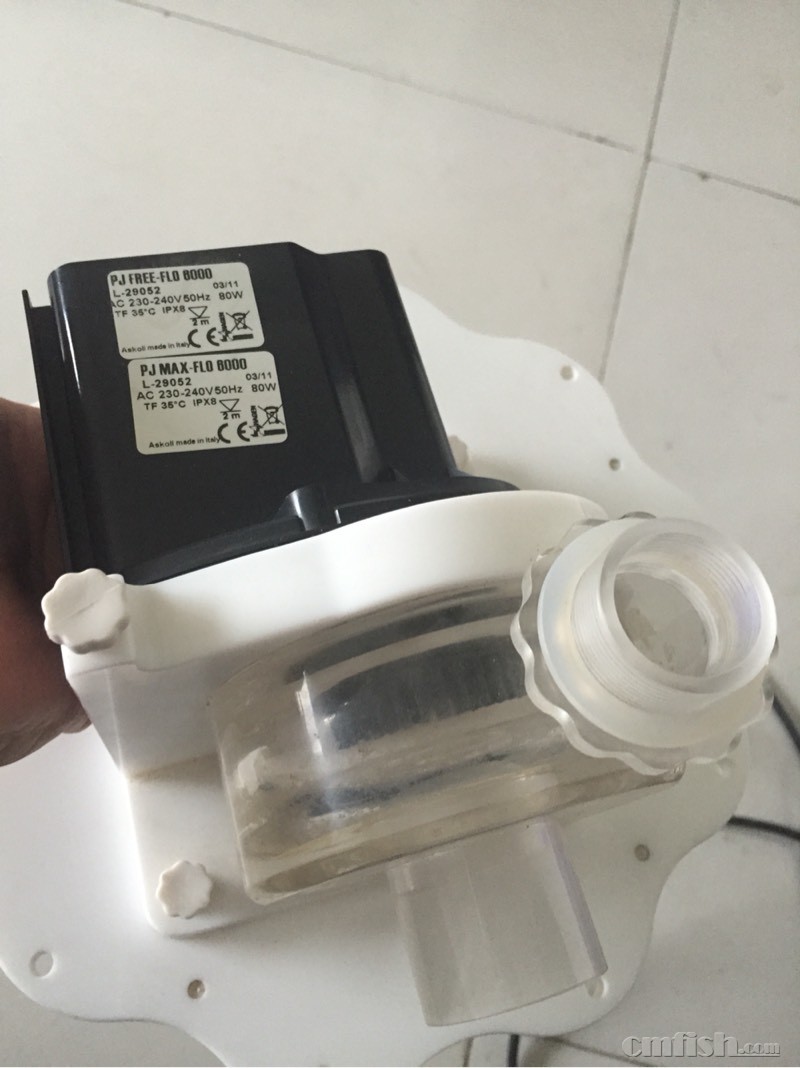 我这个蛋分到底是什么型号? - AQUAEXCEL(A