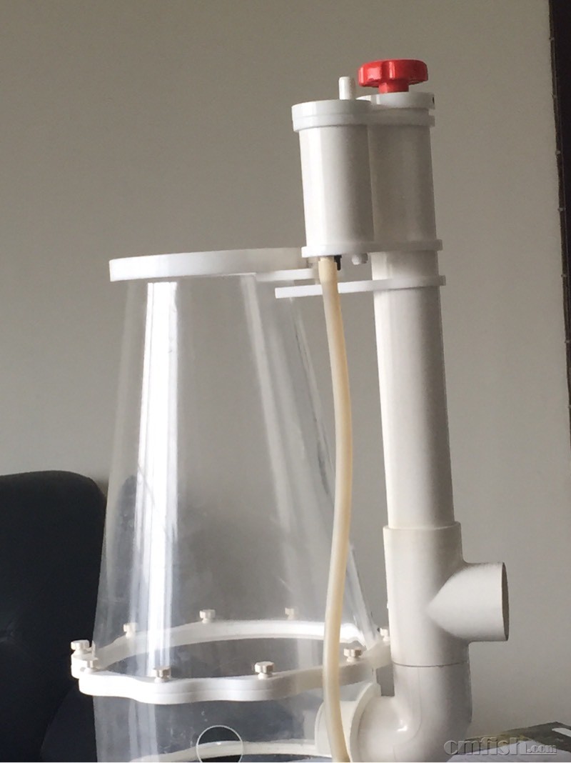 我这个蛋分到底是什么型号? - AQUAEXCEL(A