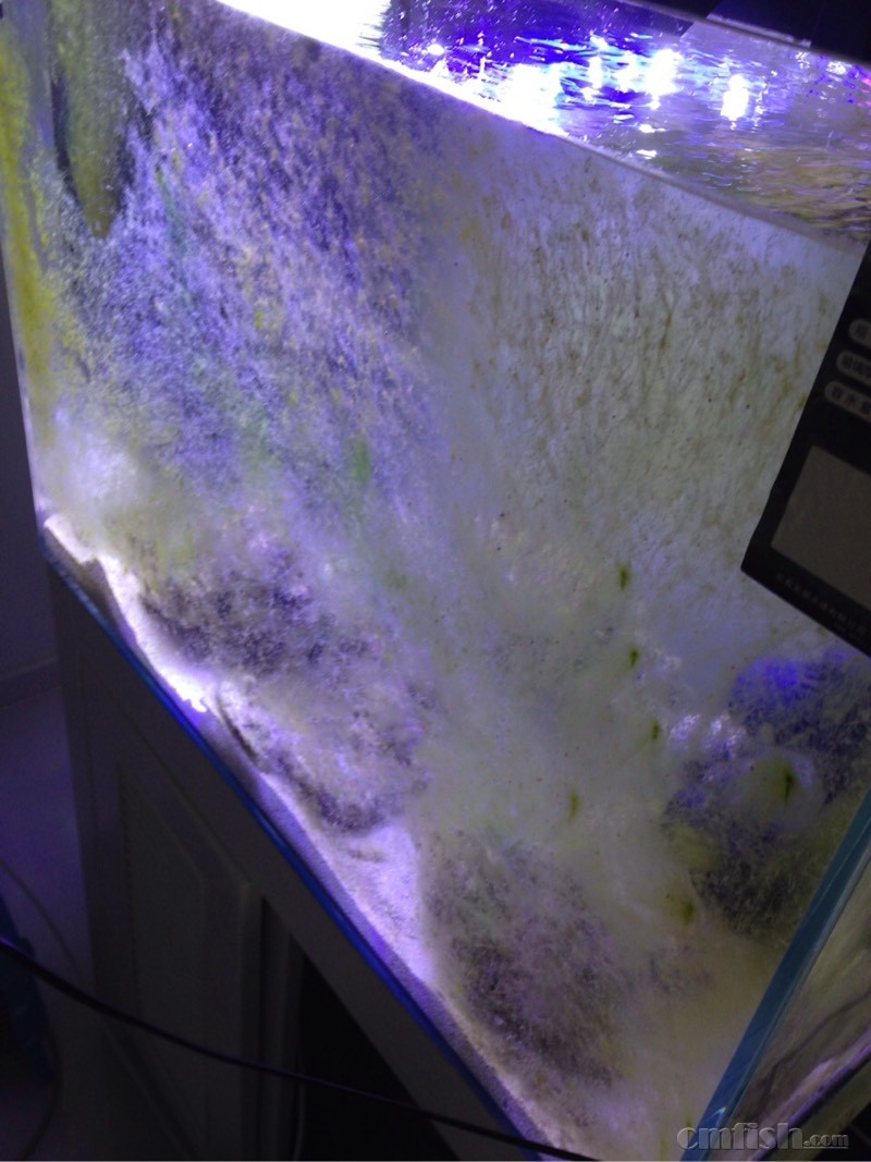 明天开始刷石头了,爆了35左右,具体哪天忘了。