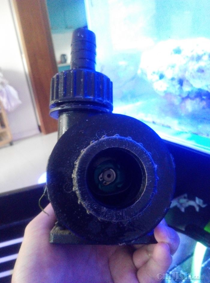 AE LV6500水泵 里面是空的 没有风扇之类的?