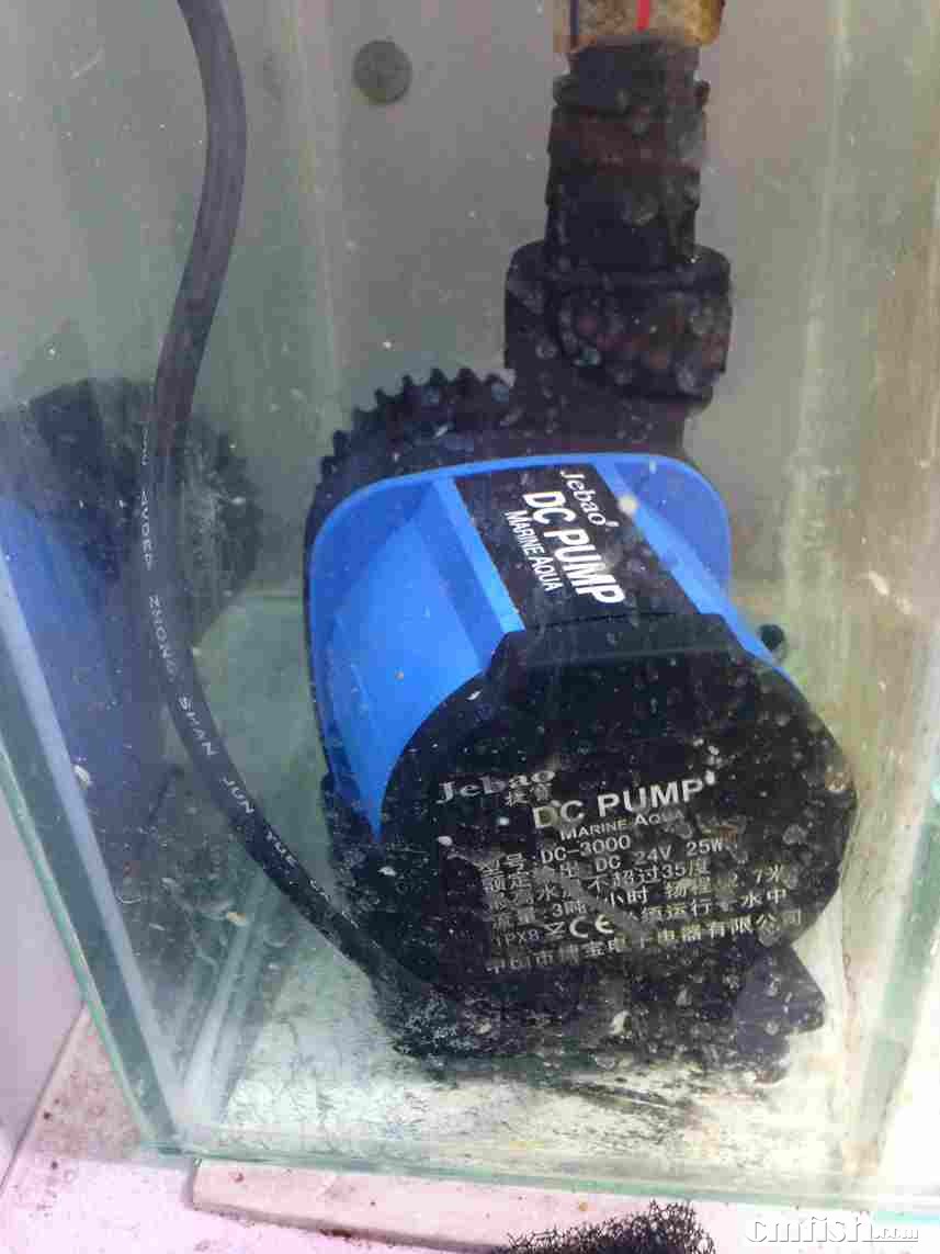 出60底滤缸和底柜一套及所有设备 - 北京地区 