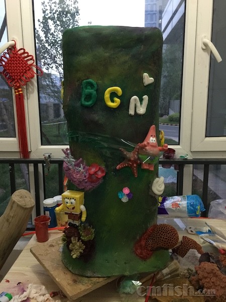 做个异形水族箱-记录-学习-实践 - 海缸综合讨论