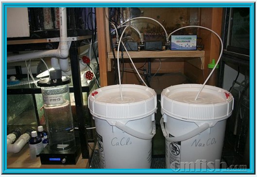 美缸共赏(19) 珊瑚上瘾综合症