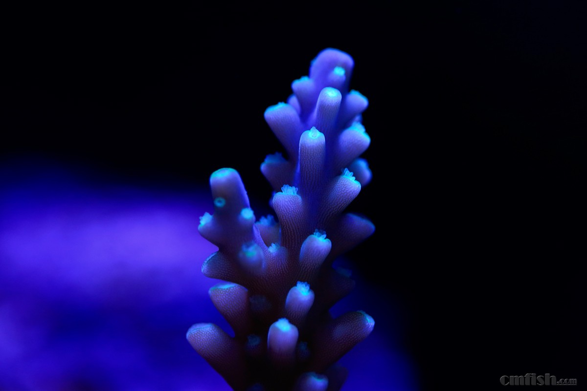 六合分解式,香港六合彩最准三肖_信誉品牌!