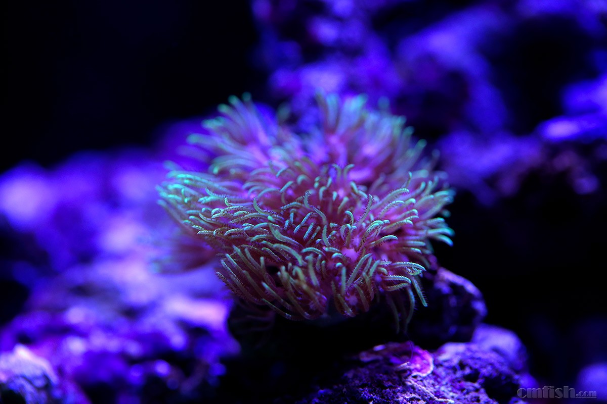 六合分解式,香港六合彩最准三肖_信誉品牌!