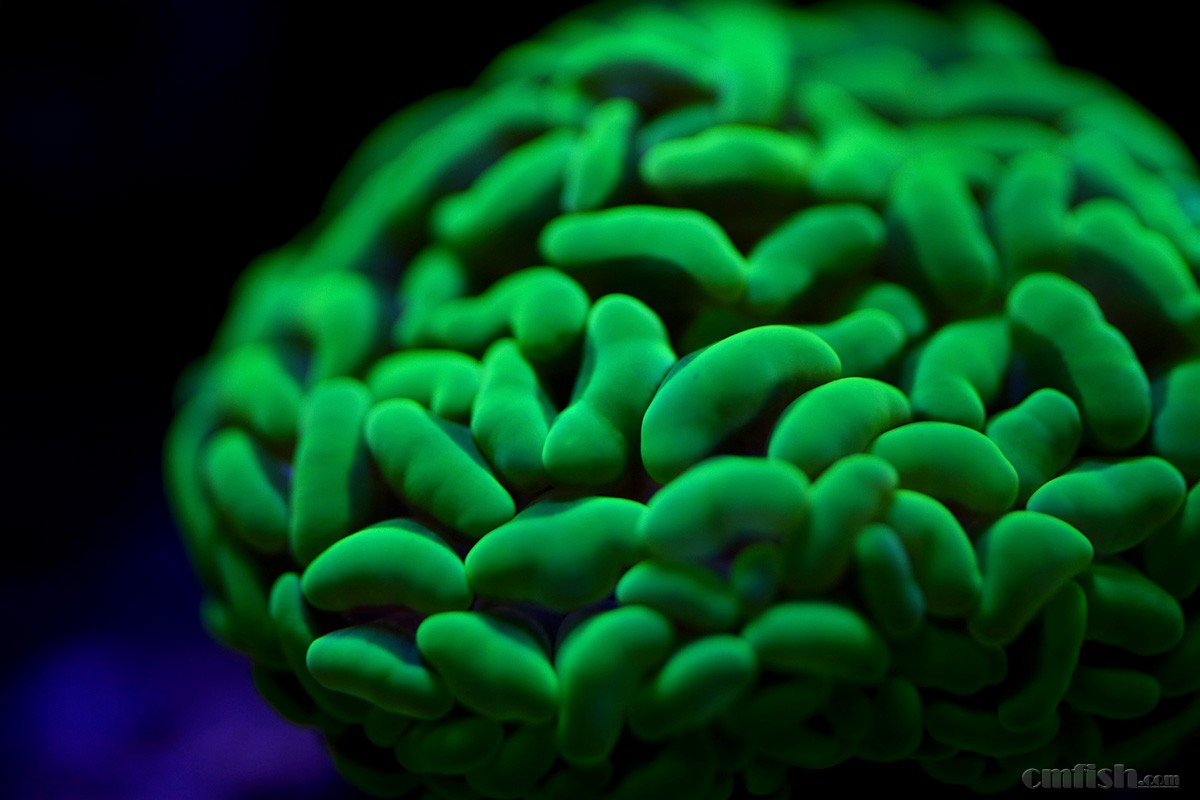 六合分解式,香港六合彩最准三肖_信誉品牌!