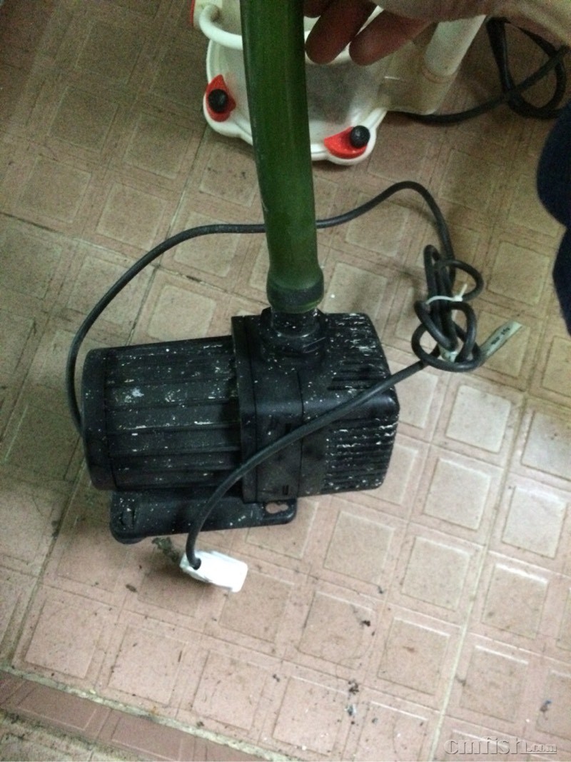 深圳地区出C5蛋分 捷宝水泵 和60背包底滤缸 