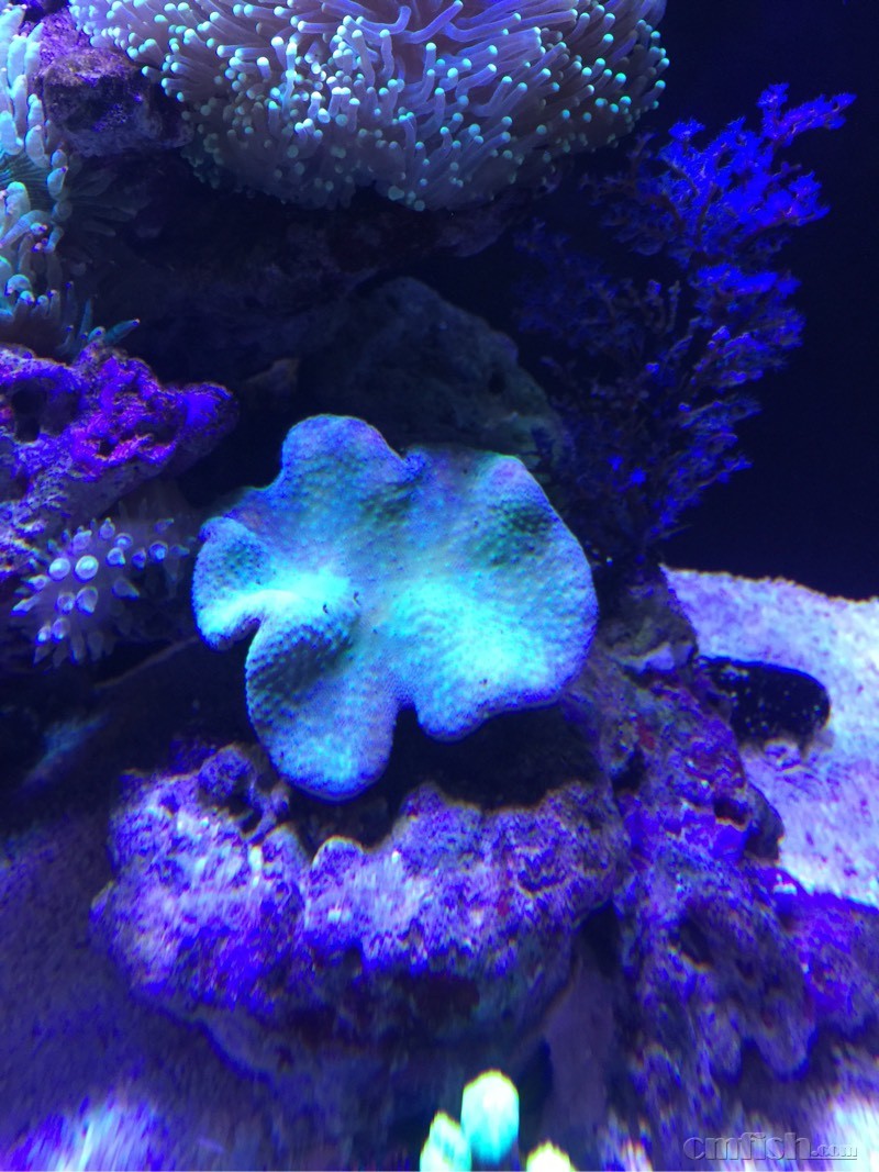 日皮求助 三天不开了 - ◆初学者咨询(Beginner