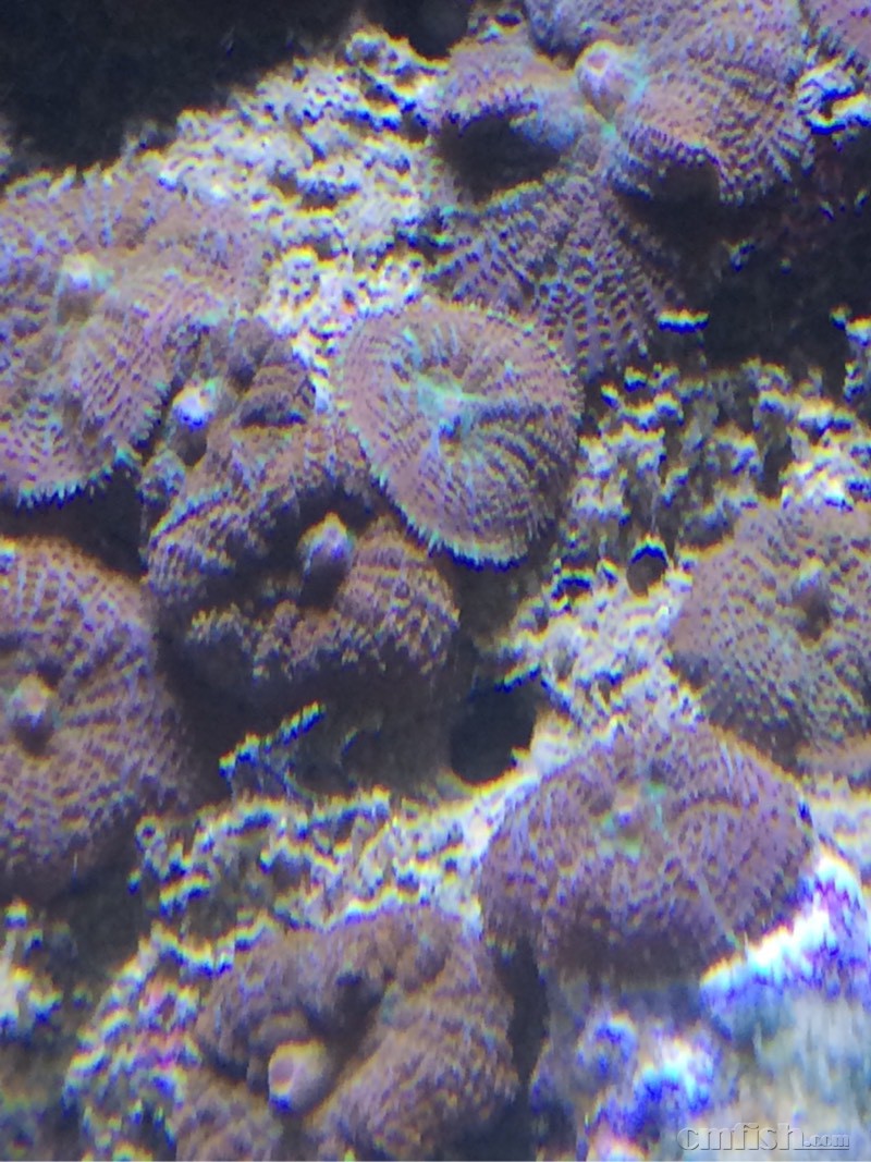 这是什么鬼,有大神指教一下么? - ◆初学者咨询