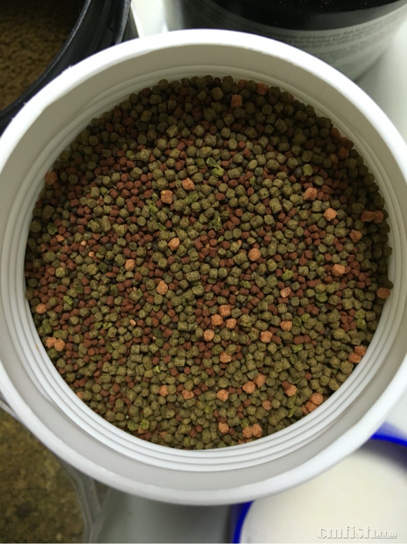 上岸出剩下鱼粮 珊瑚粮 珊瑚添加剂 - 西部地区