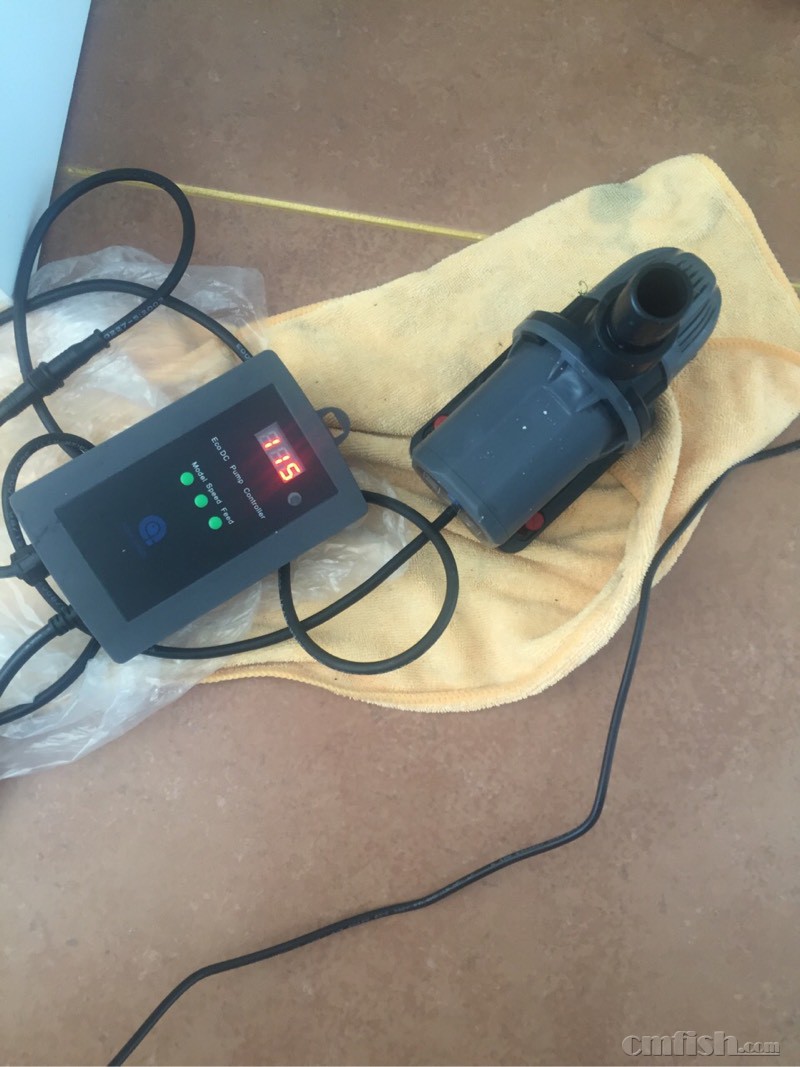 AE水泵不启动了什么原因? - AQUAEXCEL(AE