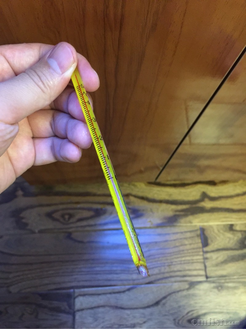 温度计碎到鱼缸里了!SOS - 初学者(Beginners)