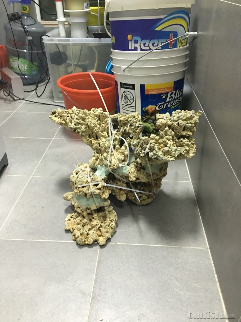 死石开缸用什么牌子的硝化细菌好? - 海水观赏