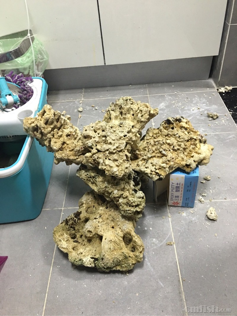 死石开缸用什么牌子的硝化细菌好? - 海水观赏