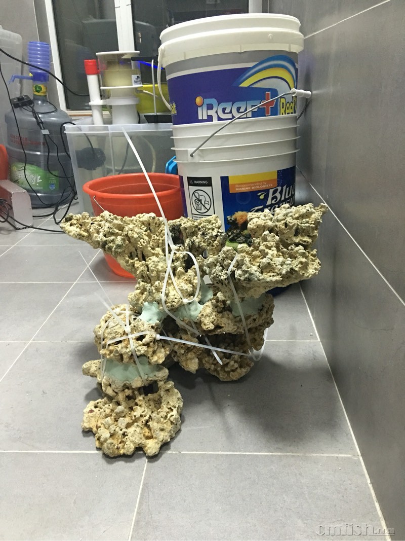 死石开缸用什么牌子的硝化细菌好? - 海水观赏