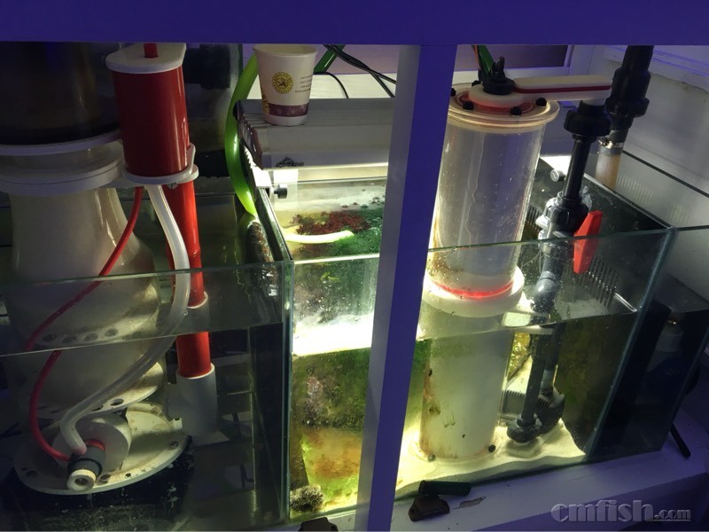 死石开缸用什么牌子的硝化细菌好? - 海水观赏