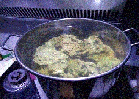 死石开缸用什么牌子的硝化细菌好? - 海水观赏