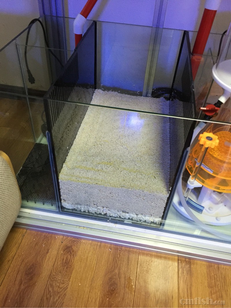 请教高人指点厚沙系统 - 海缸综合讨论区 - CM