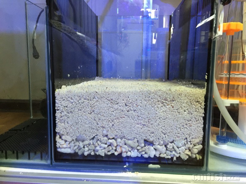 请教高人指点厚沙系统 - 海缸综合讨论区 - CM