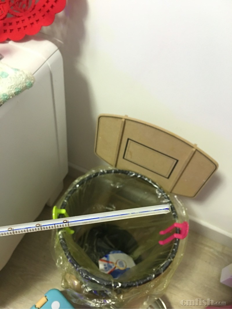 温度计碎了 - 北京地区 - CMF海水观赏鱼论坛