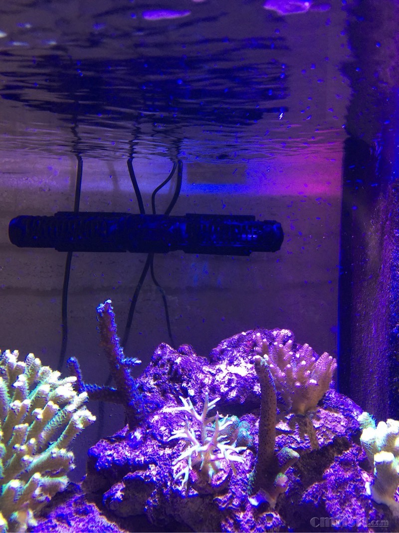 新买的炫影总是发出哒哒的声音,是什么原因?