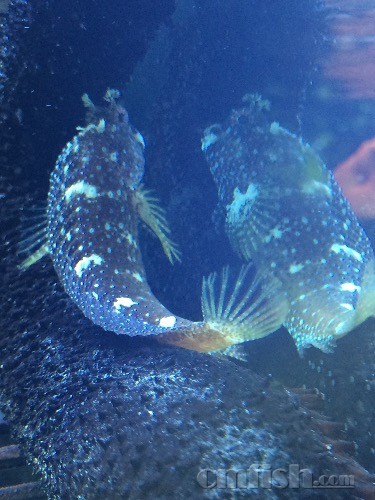 低颜值不怨天不怨地,任劳任怨创造美好生活 - 