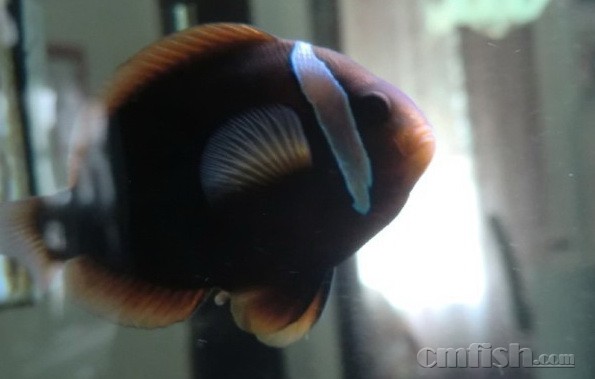 欧冠夺冠次数排名,博狗娱乐备用网址_2016欧