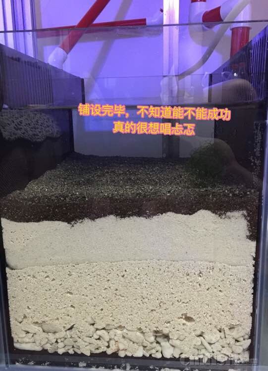 新建厚沙系统底部发黑怎么回事? ,CMF海水观