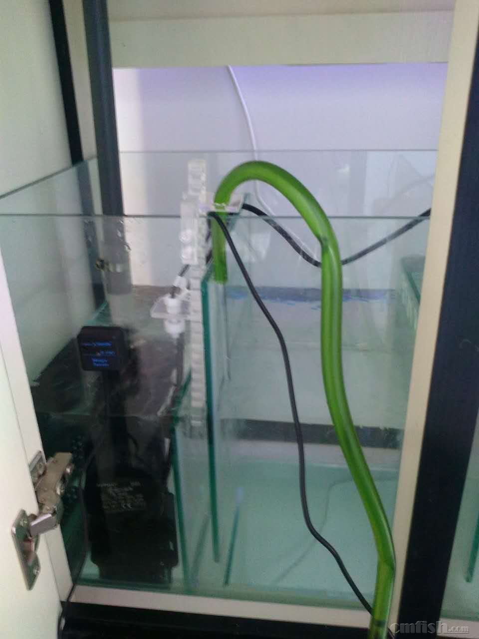 宁淹死,不上岸の新的征程(80缸开缸记录) - 软珊