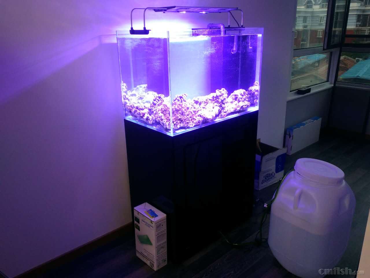 宁淹死,不上岸の新的征程(80缸开缸记录) - 软珊