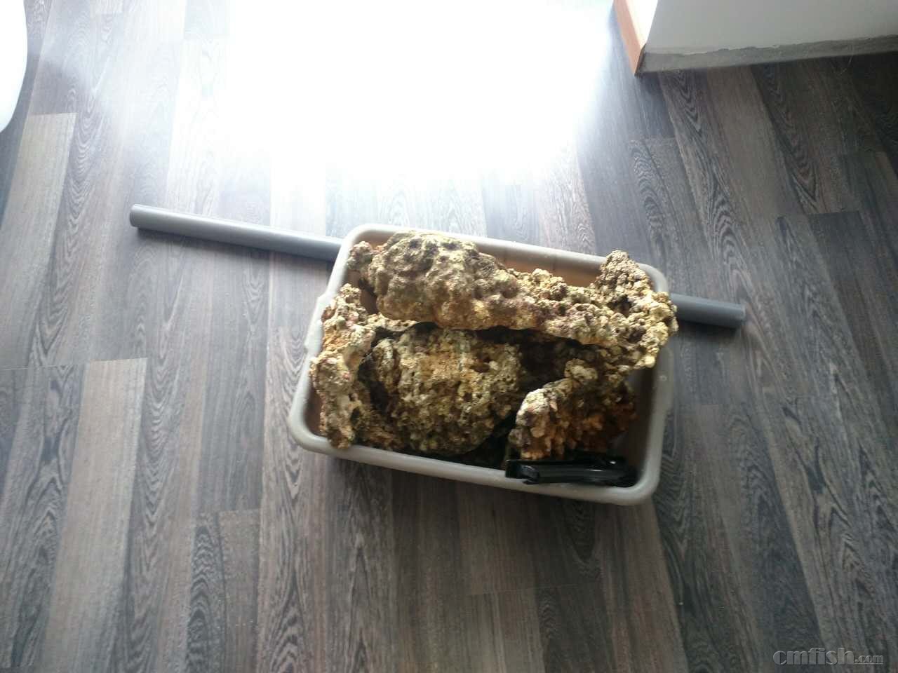 宁淹死,不上岸の新的征程(80缸开缸记录) - 软珊