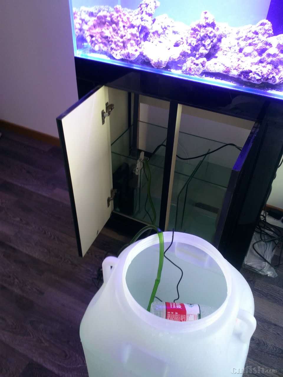 宁淹死,不上岸の新的征程(80缸开缸记录) - 软珊