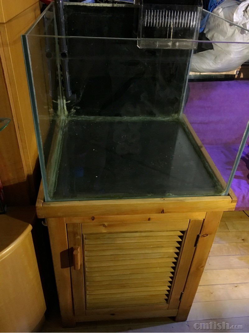 便宜又好用的鱼缸滤材 212357h9zppwkxjyztvzpc.jpg