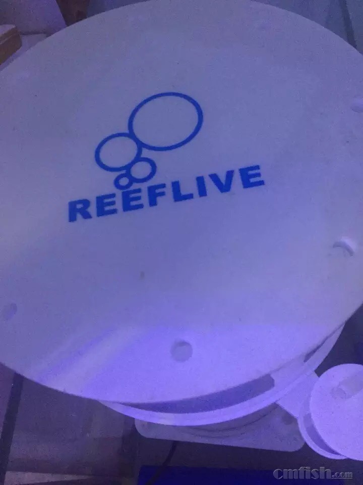 皇冠足球走地网址