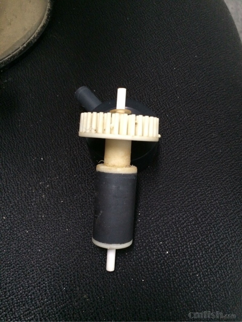 低价收了一个八爪鱼蛋分但不知道如何清洗 - 北