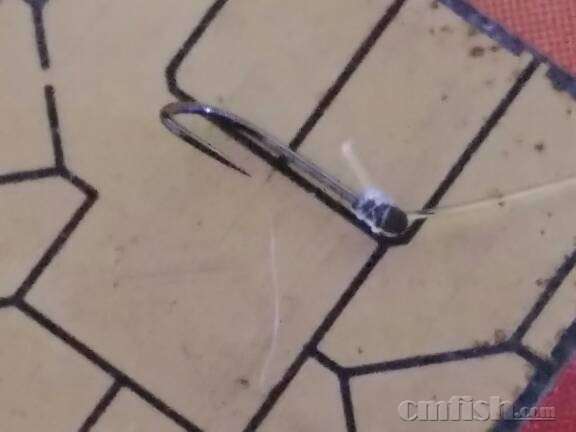 终极捕鱼大法 古人诚不我欺! - 海缸综合讨论区