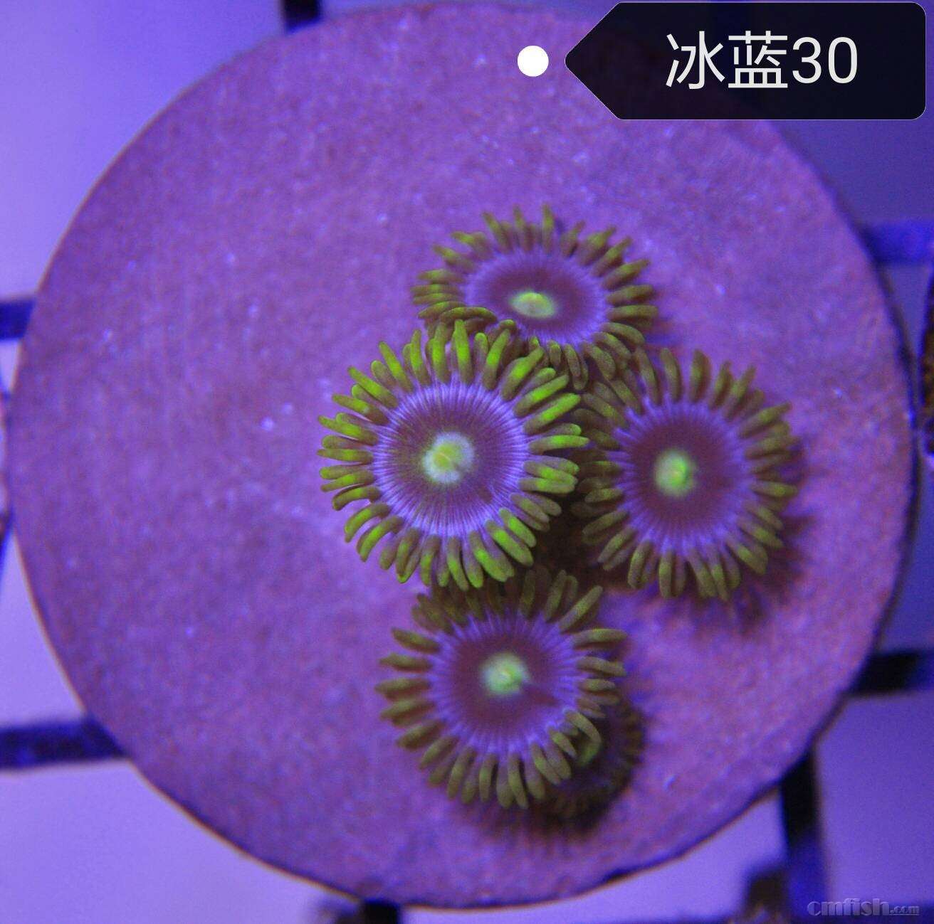 出点纽扣,可以发顺丰汽运和空运,全部包损