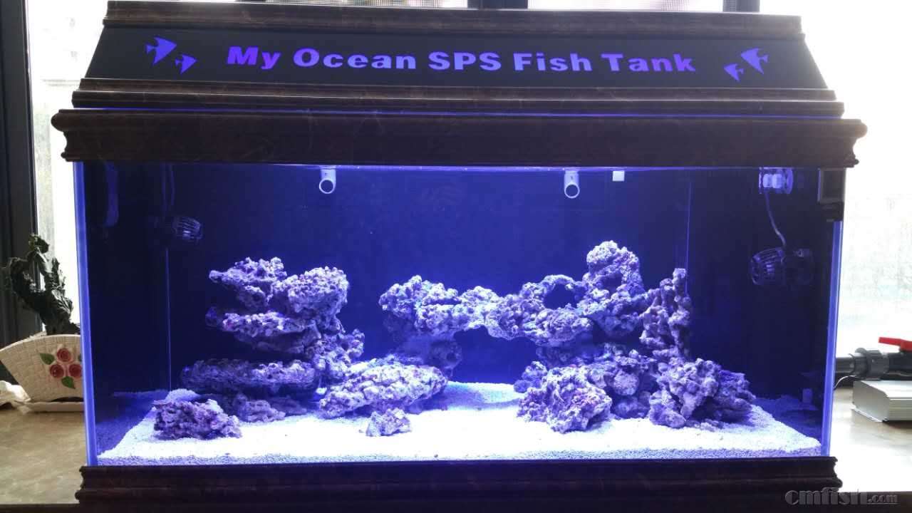 1.2米缸造景,请指导 - 造景设计区 - CMF海水观