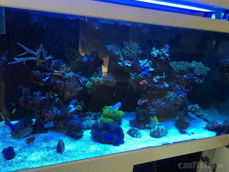 硬骨头部脱,并长藻,哪位大神帮看一下