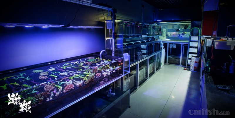 瀚翔水族新店开业通知