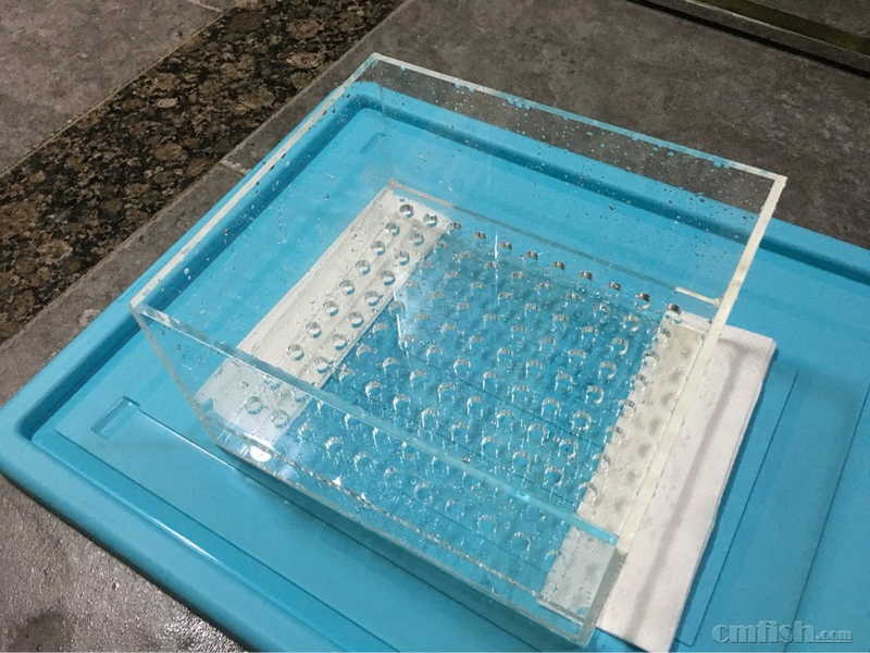 【记录】尝试另类神砖厚沙系统 - 海缸综合讨论