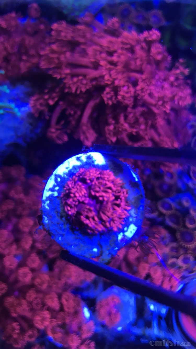 【招聘信息】不好意思,代朋友发个招前台信息