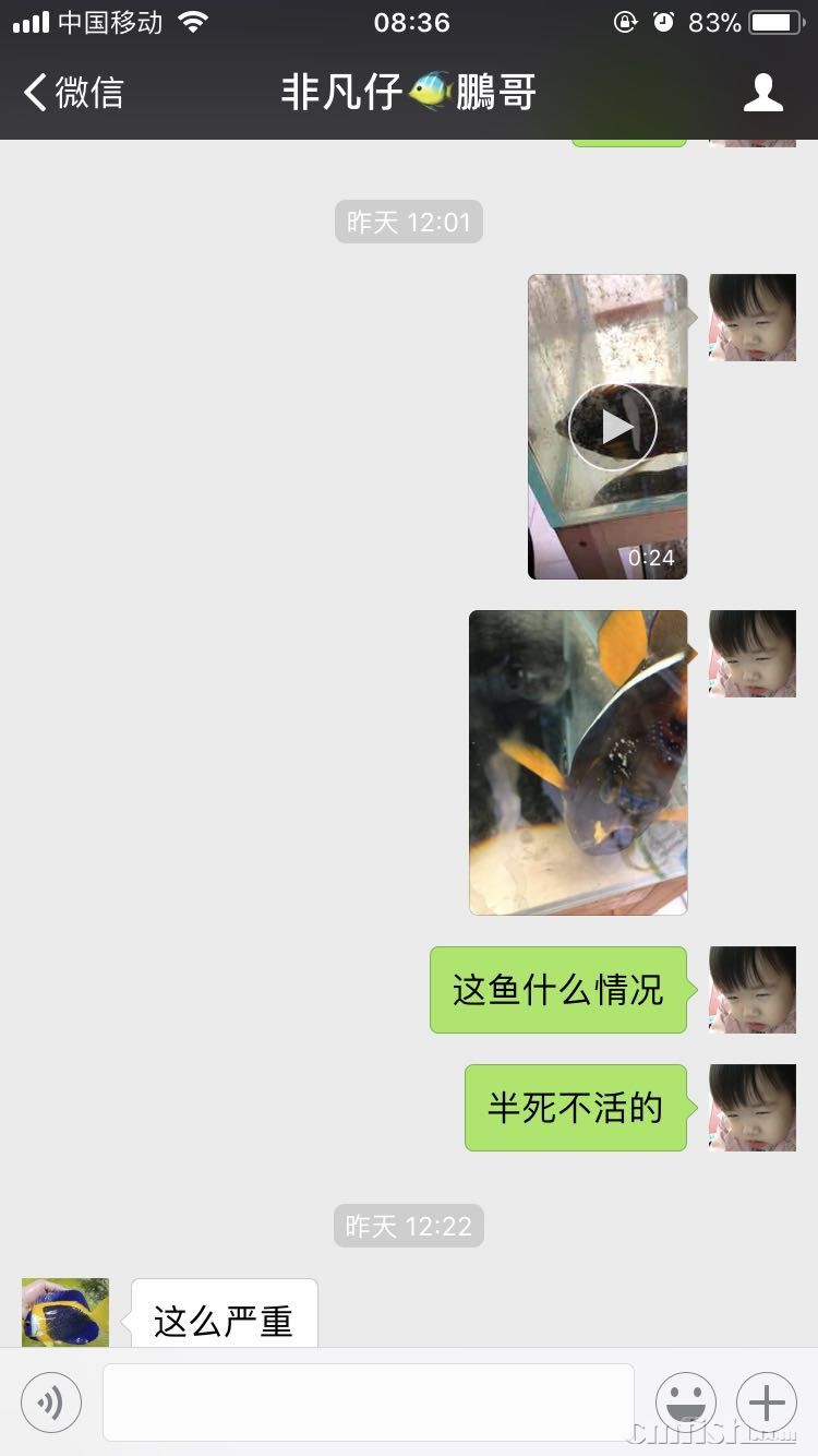 101656q81pgfpbppg8sft1.jpg