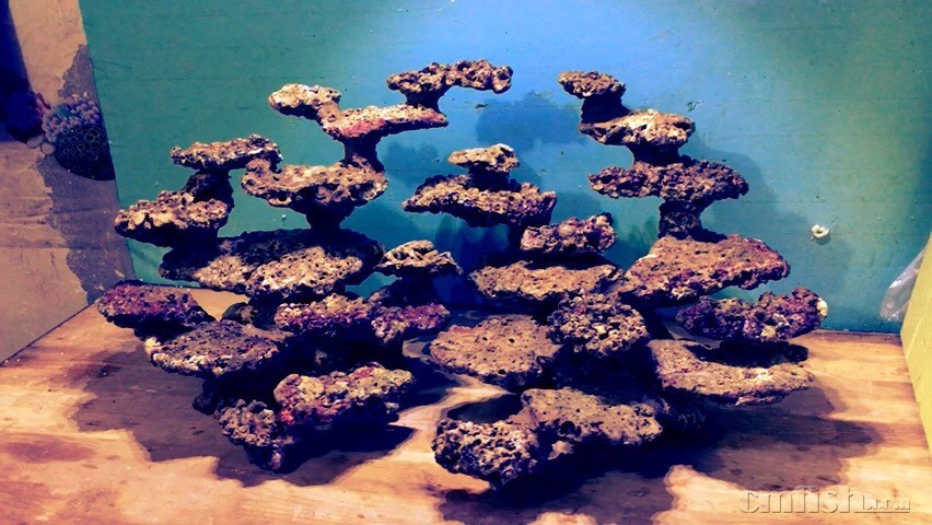 活石，为什么要开灯爆藻?