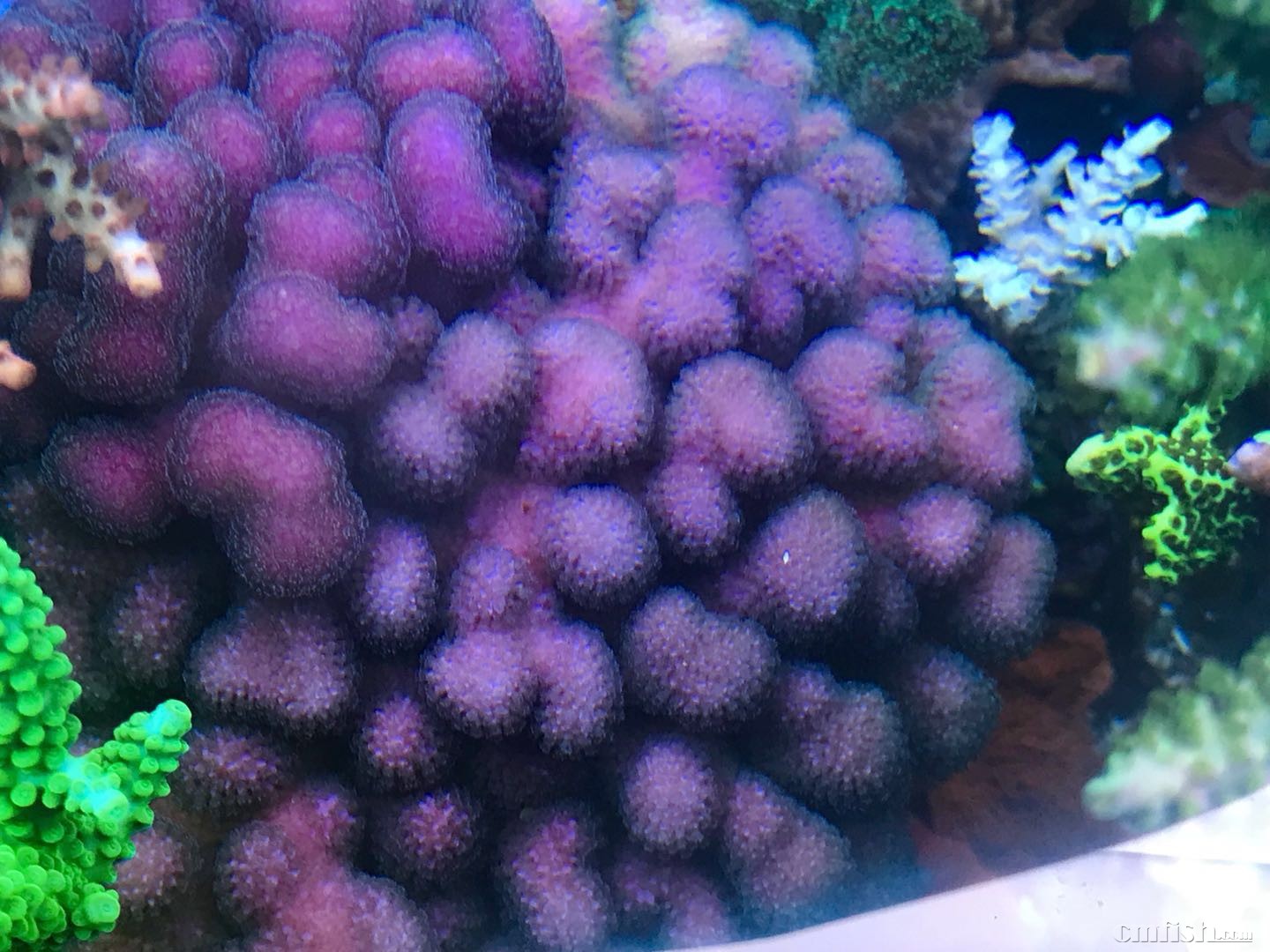 上海新客站附近出点断枝可以闪送,江浙地区汽